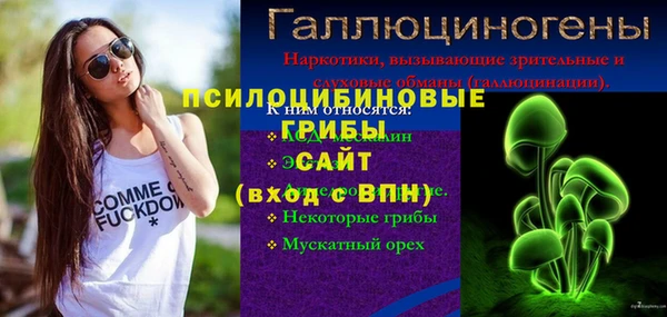 МДПВ Алексин