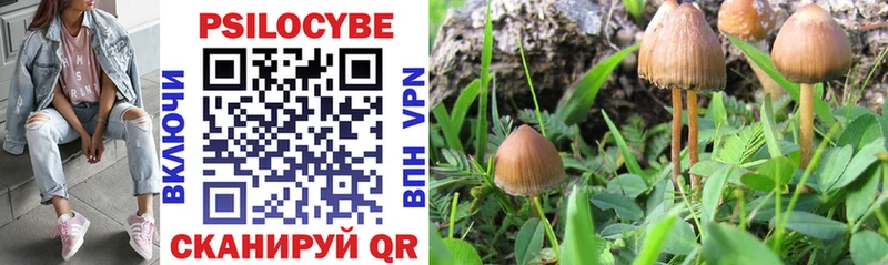 наркота  Чадан  Галлюциногенные грибы MAGIC MUSHROOMS 